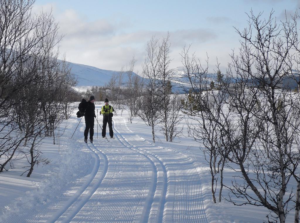 Putten Seter Høvringen エクステリア 写真