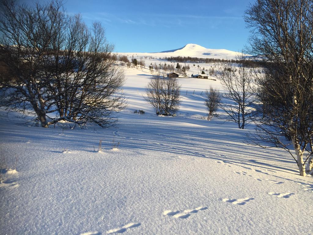 Putten Seter Høvringen エクステリア 写真