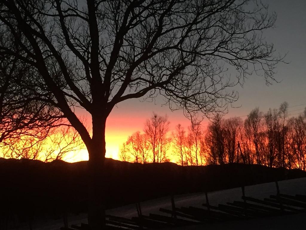 Putten Seter Høvringen エクステリア 写真