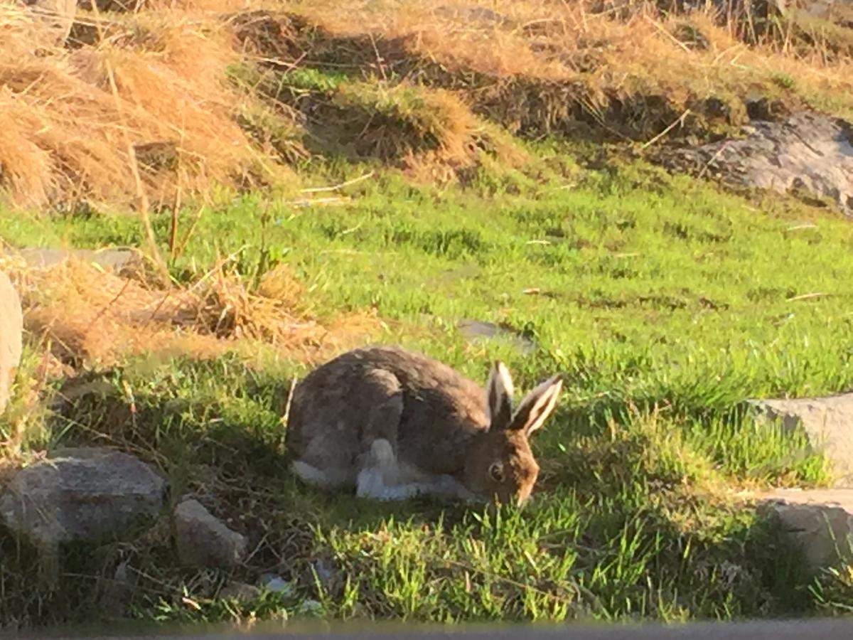Putten Seter Høvringen エクステリア 写真
